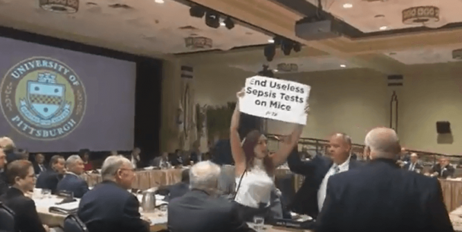 disruption at university of pittsburgh board of trustees meeting