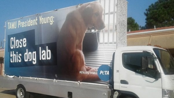 Texas A&M, dog laboratories, muscular dystrophy, PETA ads