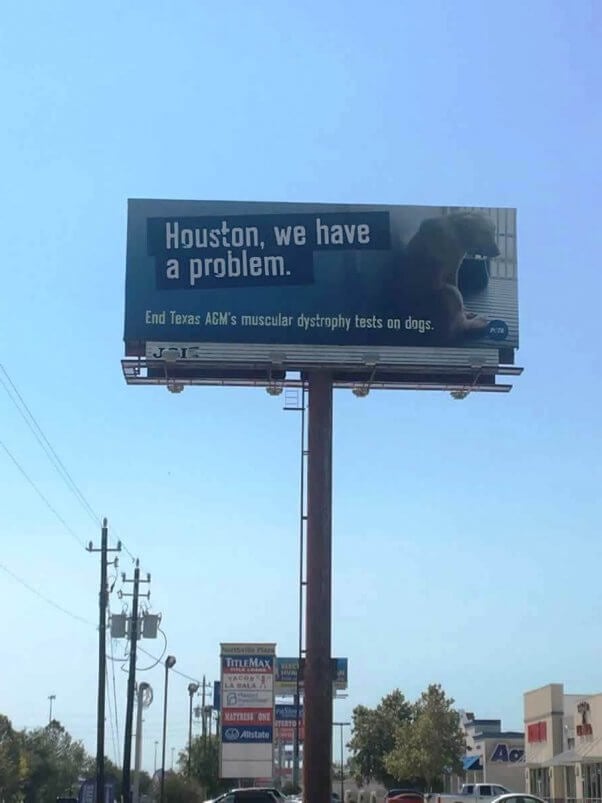 Billboard reading "Houston, we have a problem. End Texas A&M's muscular dystrophy tests on dogs."