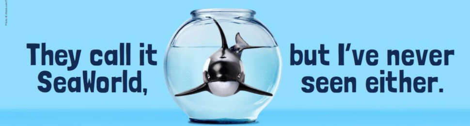 They Call It SeaWorld