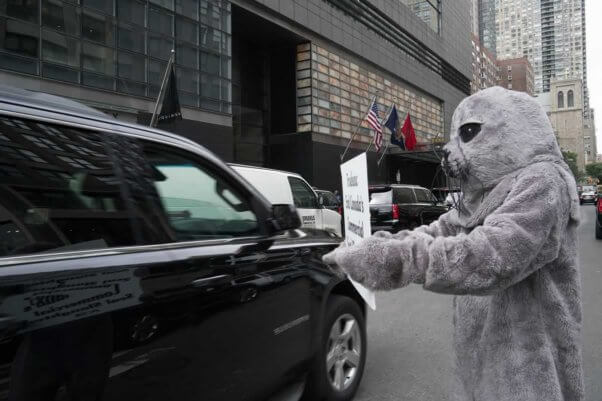 PETA seal trailing Justin Trudeau in NYC