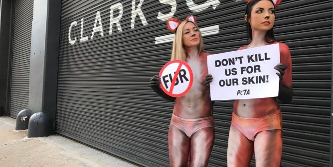 Bodypainted ‘Foxes’ Put Fur-Free Stamp on Fashion Week