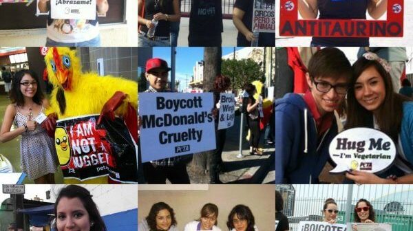 16 Reminders That You’re a Latino Vegan