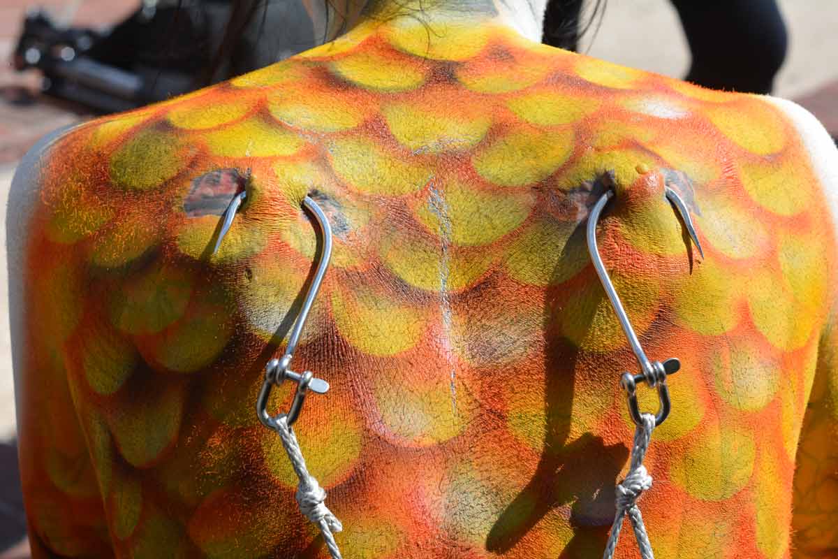 Her Pierced Skin Hanging From Hooks, PETA 'Mermaid' Makes Waves