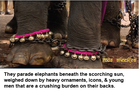 gods in shackles, promotional image, elephants in chains