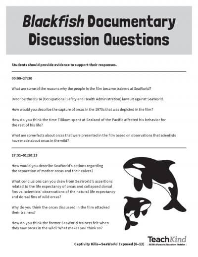 animal cruelty argumentative essay