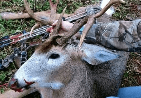 hunting picture, deer hunting, hunter