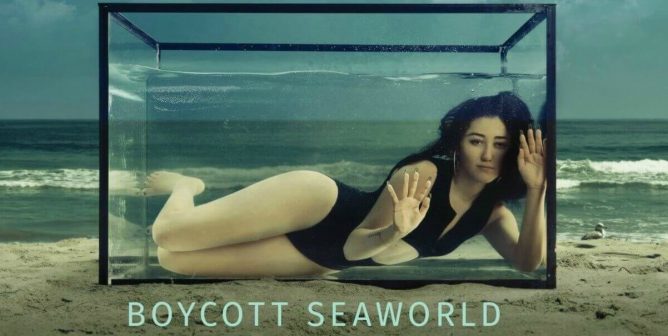 Noah Cyrus in a fish tank