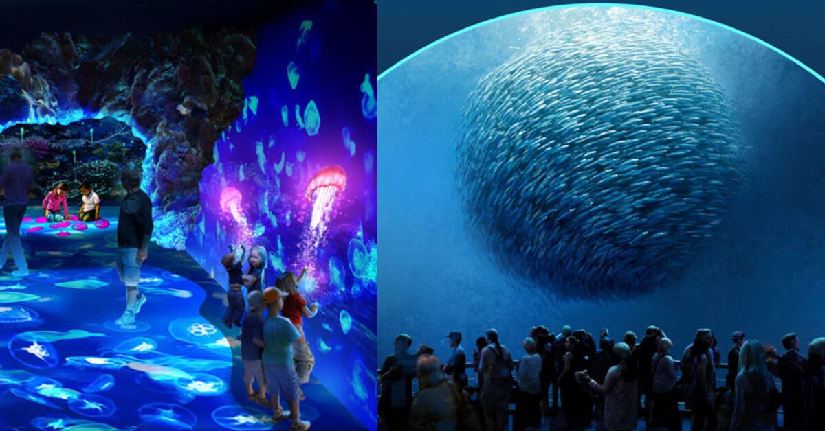 This Astounding and Completely FishFree Aquarium Changes