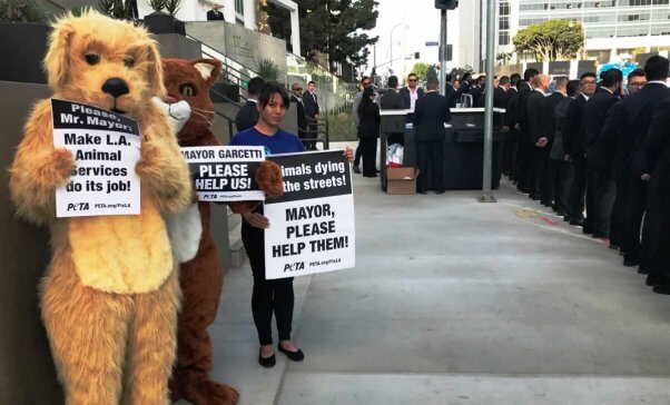 Four people, two in dog and cat costumes, send a message to Mayor Garcetti about LA Animal Services