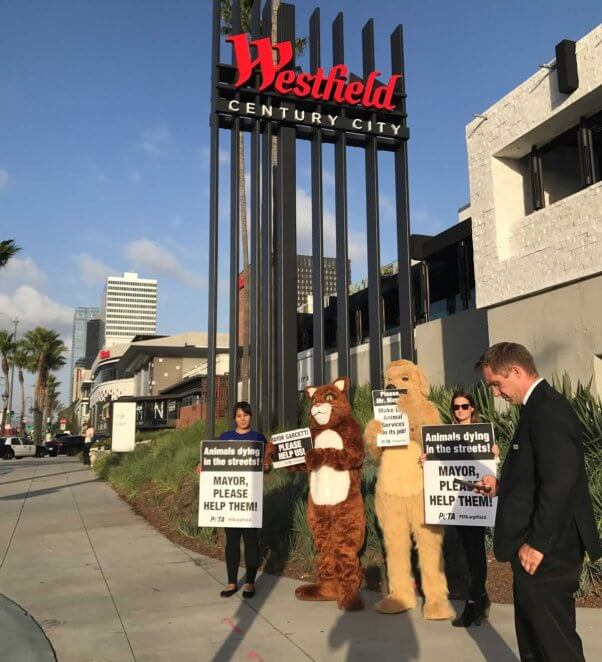 Four people, two in dog and cat costumes, send a message to Mayor Garcetti about LA Animal Services