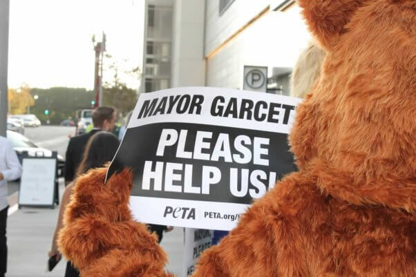 Protester dressed as cat holds sign reading, "Mayor Garcetti, please help us"