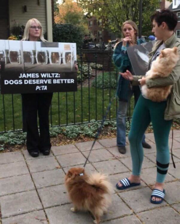 Woman walking dog stops to read protesters' signs