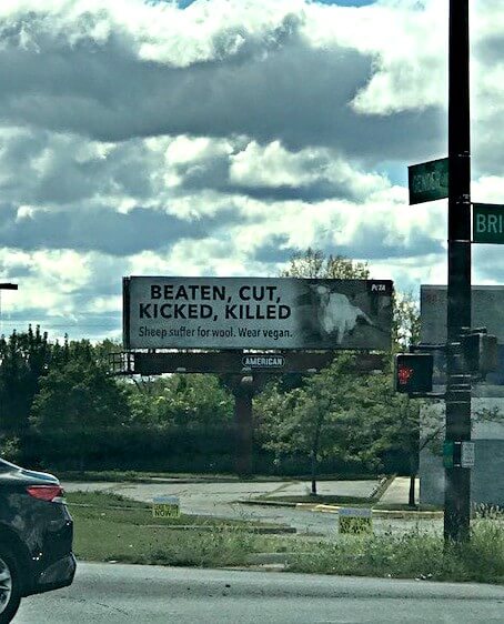 wool free winter, beaten sheep, sheep billboard, wool billboard