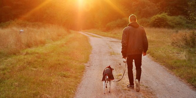 New Website Helps Nature Lovers ‘Glamp’ With Their Companion Animals
