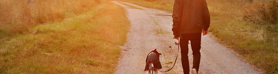 guardian and canine companion walking