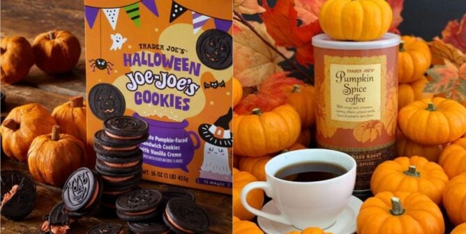 vegan trader joes pumpkin products 2026
