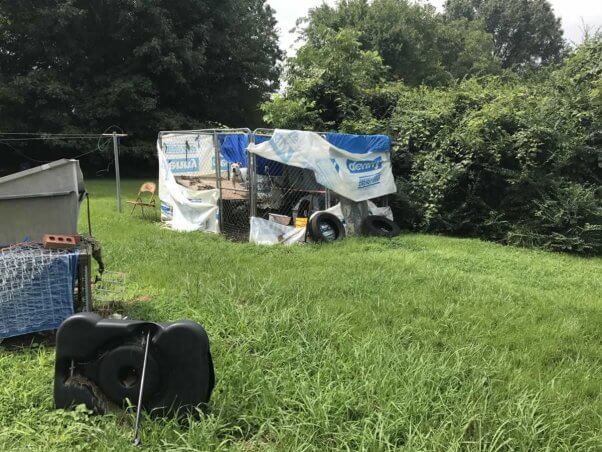 Backyard pen covered in tarps