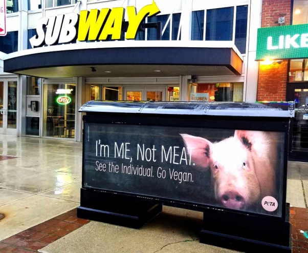 PETA