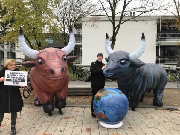 Inflatable bulls and globe outside 2017 UN Climate Change Conference