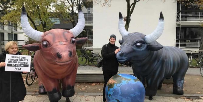 Inflatable bulls and globe outside 2017 UN Climate Change Conference