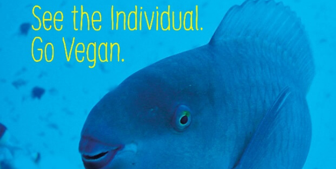 I’m Me, Not Meat (Blue Fish)