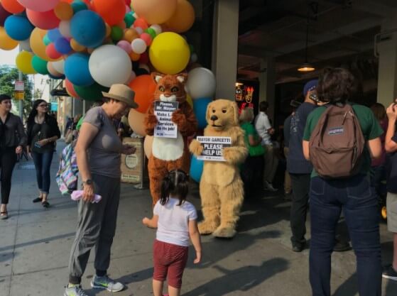 los angeles animal services failures, cat and dog demo, eric garcetti