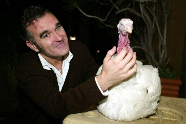 Morrissey and Cloe the Turkey, peta thanksgiving dinner