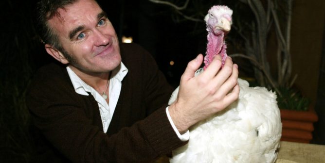 Morrissey and Cloe the Turkey, peta thanksgiving dinner