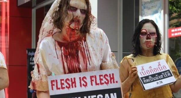 peta asia pacific zombie demo, vegan
