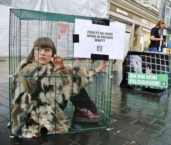 peta germany cage demo, fur