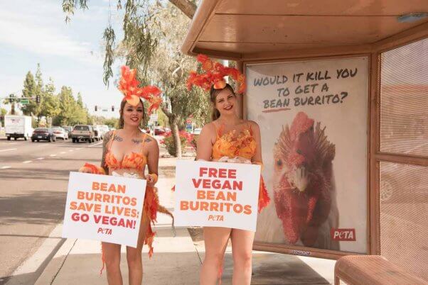 PETA's new pro-vegan ad at a bus stop in Phoenix, AZ
