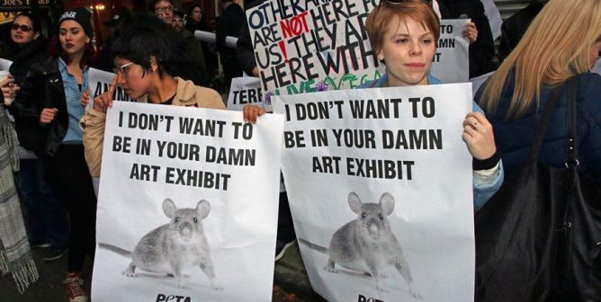 What Happens When PETA Protests a Live-Animal Exhibit at a New York Gallery?