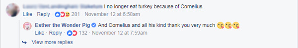 turkey videos starring cornelius have inspired people to look at turkeys in a new light