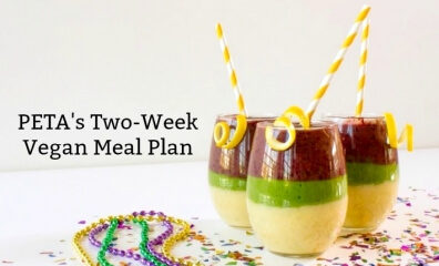2 Week Vegetarian Diet Plan 2 Week Vegetarian Diet Plan
