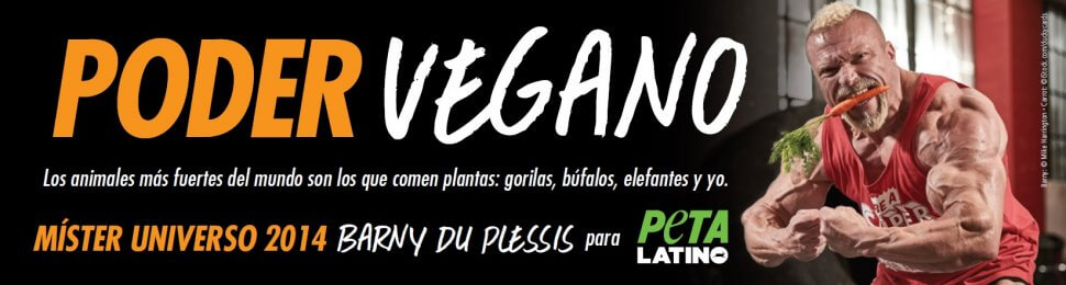 Barny du Plessis: Poder vegano