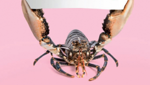 I’m Me, Not Meat (Lobster) (Vertical)