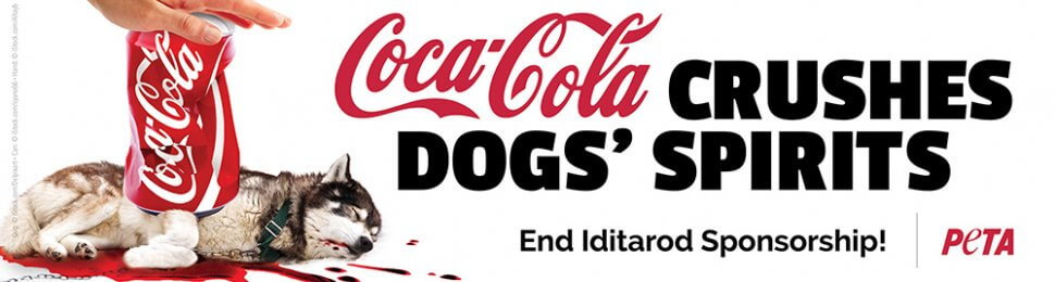 (VICTORY!) Coca-Cola Crushes Dogs’ Spirits