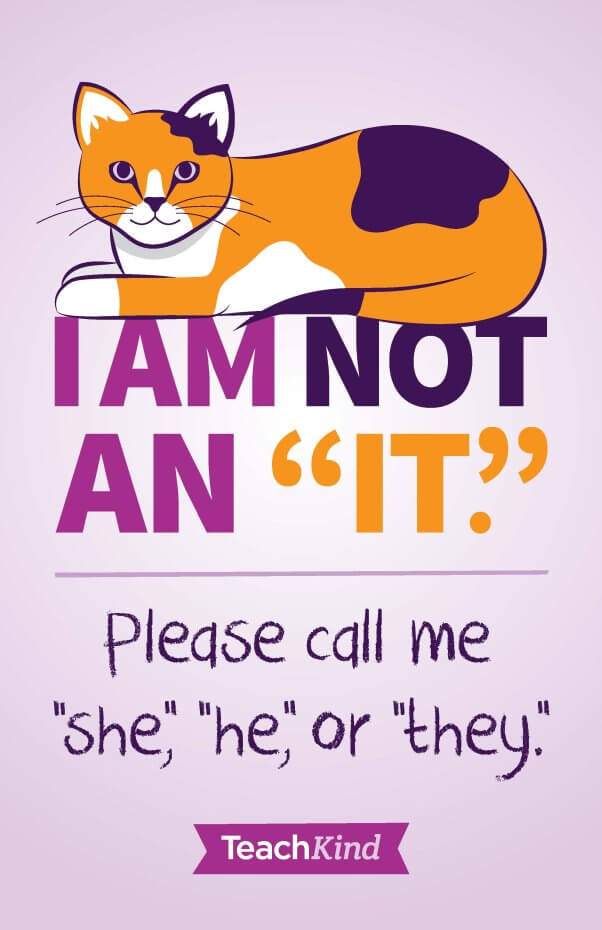 Cat image with "I am not an 'it'" message
