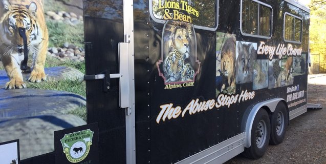 New Video: Rescued Bears Spend First Christmas at Serene Sanctuary