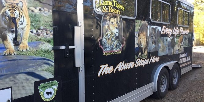 tregembo animal park bear rescue, lions tigers and bears transport truck