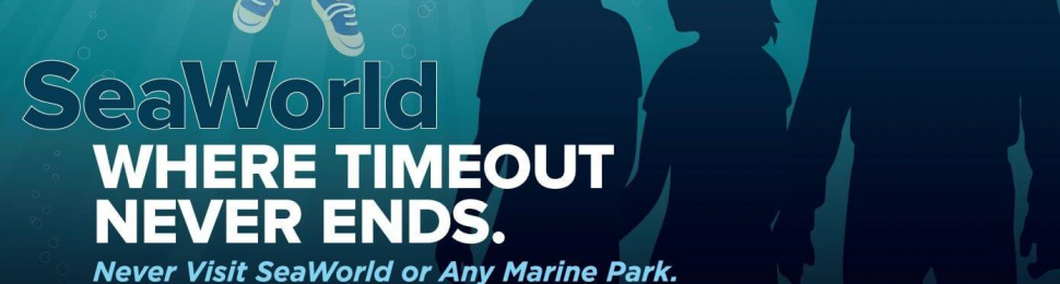 SeaWorld: Where Timeout Never Ends