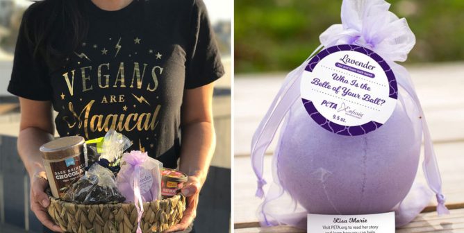 16 Gift Ideas for Compassionate Holiday Shoppers