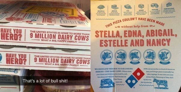 undeniably dairy dominos boxes