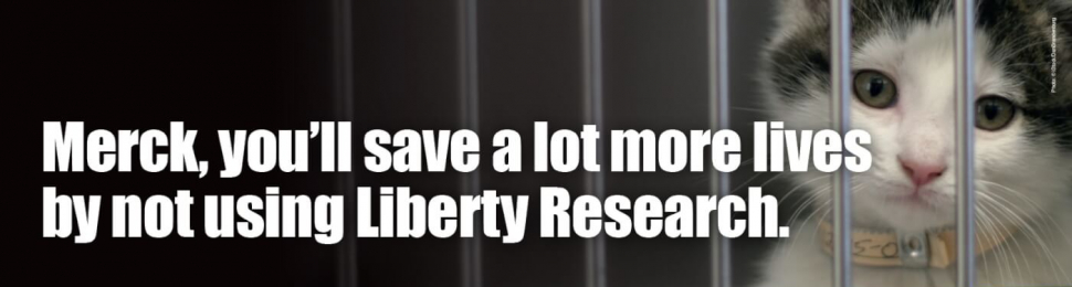 Liberty Research Imprisons, Tortures, and Kills Cats (Merck)