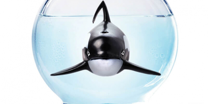 Run Screaming From SeaWorld
