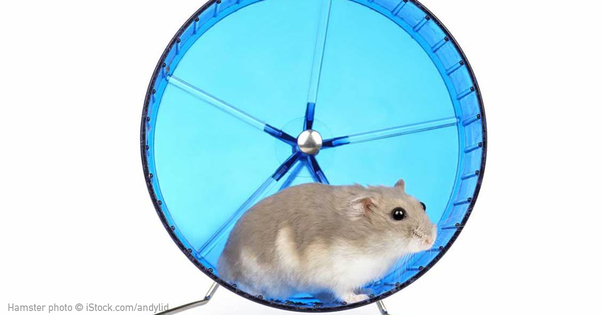 Experiments on Animals Fail 90% of the Time. Why Are They Still Done? | PETA Experiments on Animals Fail 90% of the Time. Why Are They Still Done? | PETA