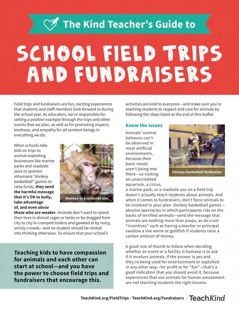 Teacher Activism: Spread the Word About Animal-Friendly School Activities |  PETA