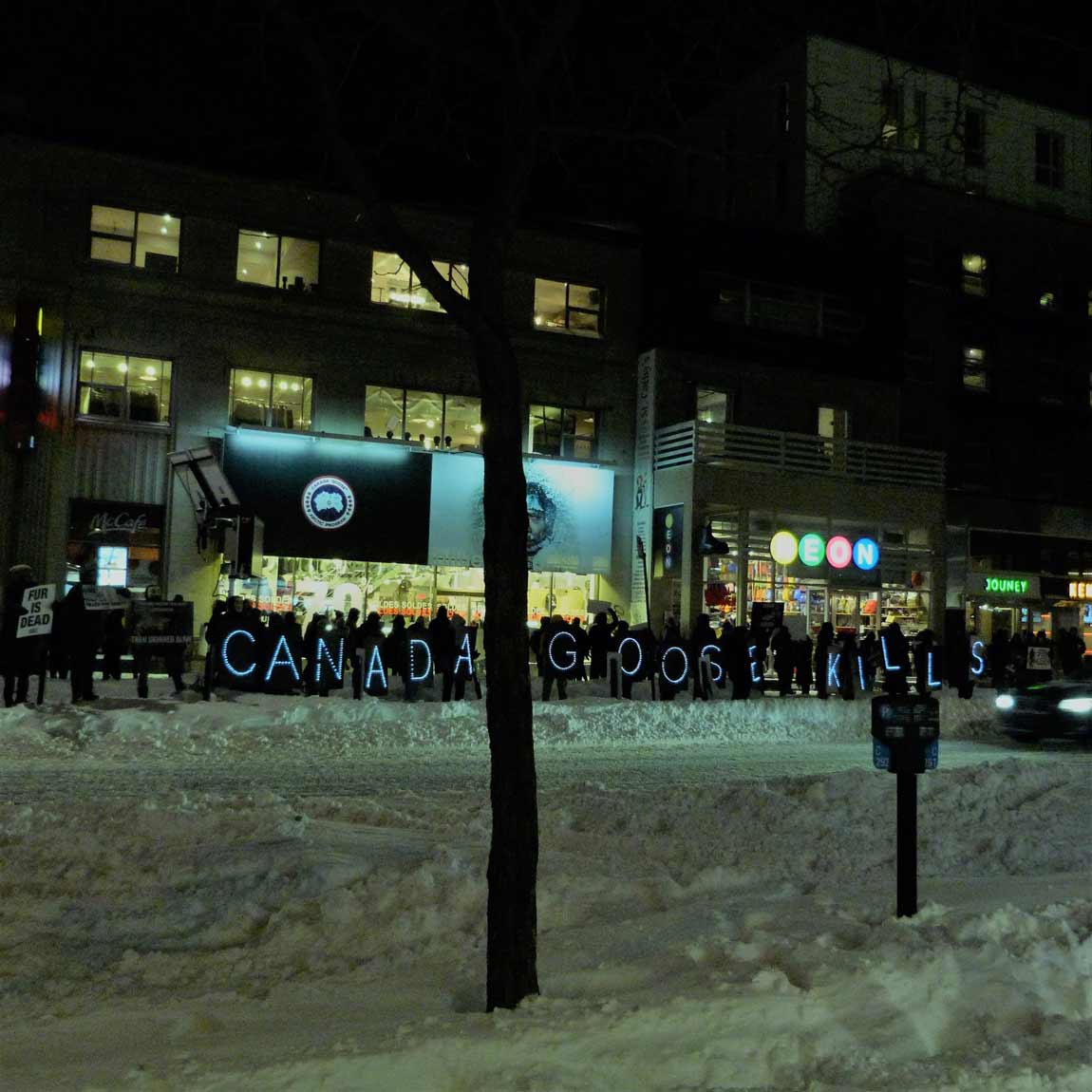 lighted signs at a peta protest in montreal