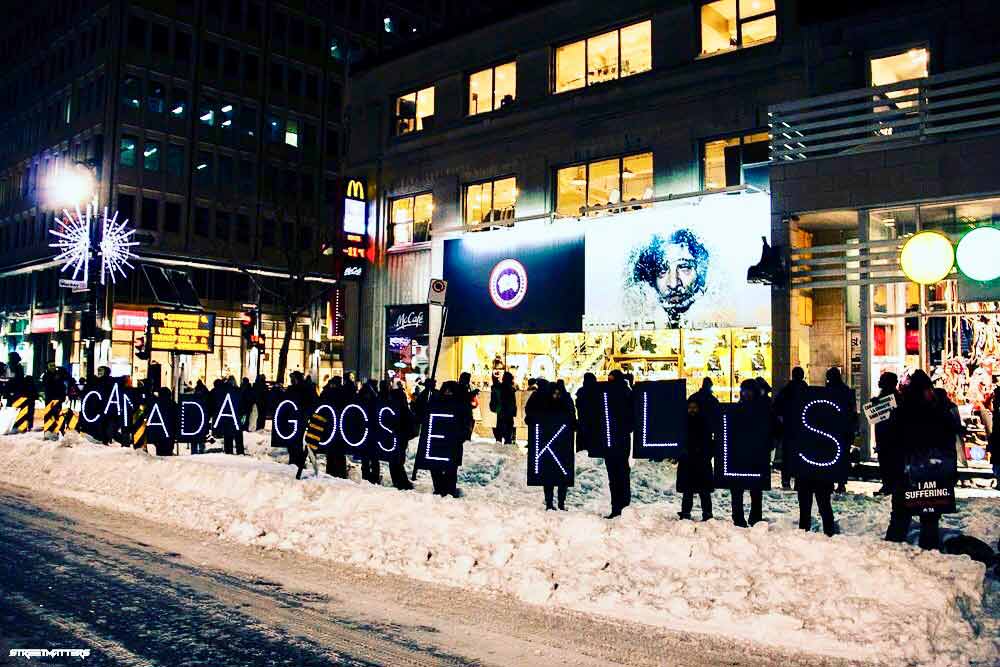 peta protest montreal influence u canada goose